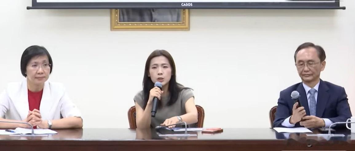 郑朝方胞弟公开恐吓吴子嘉徐巧芯痛批“黑影幢幢”新竹县长选战爆发恐吓争议。国