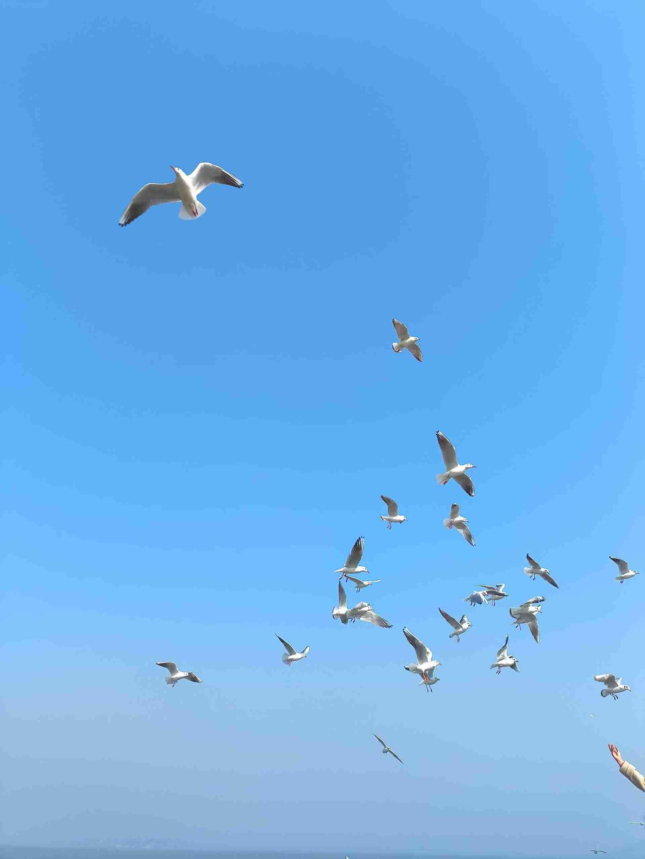 我的今日状态：😁轻松愉快我这里的天气：🌤️多云生活是一场漫长的旅行，重要