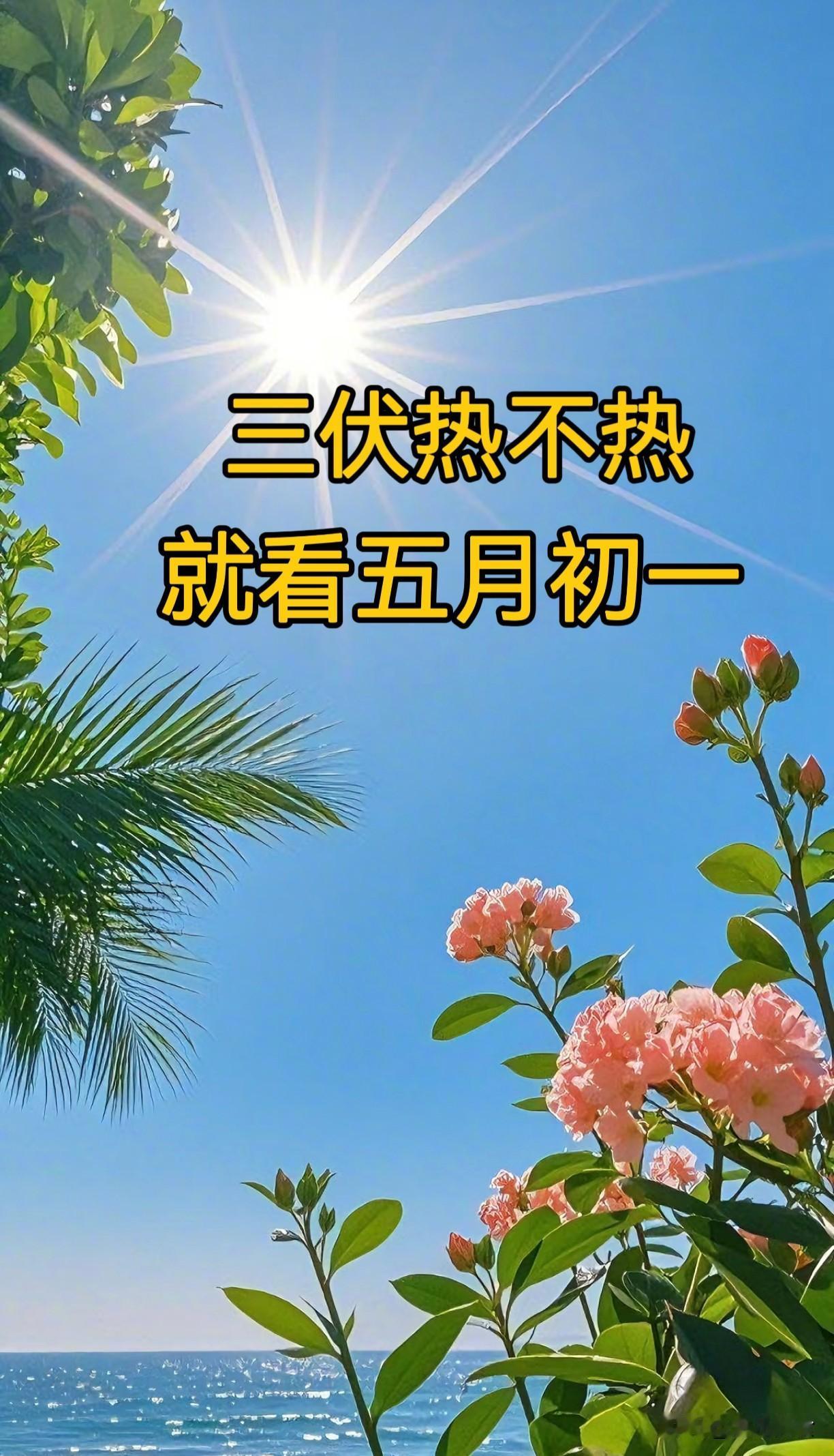 “三伏热不热，就看五月初一”，今日五月初一，今年三伏热到哭吗芒种的蝉鸣刚在枝头