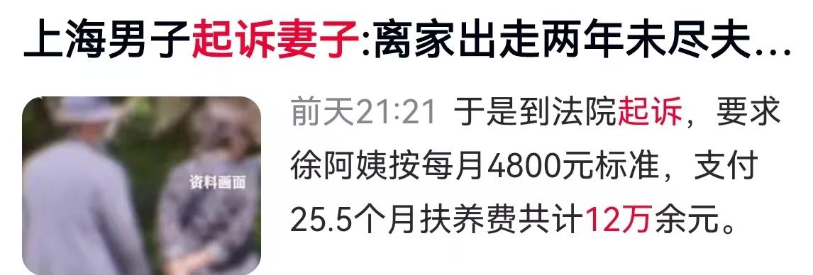 2025年的上海，一起看似普通的“夫妻扶养纠纷案”在法院开庭，却引出了一个让无数