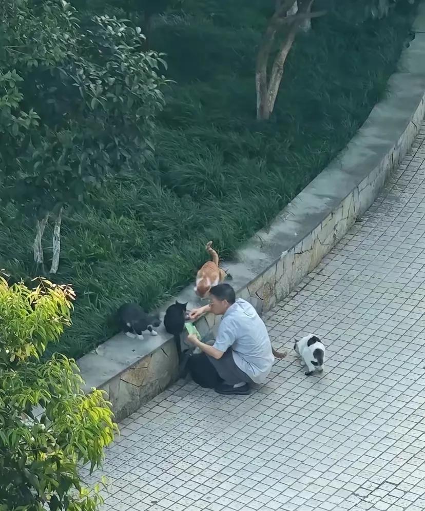 我观察这位大叔几年了，他每天早晨天刚蒙蒙亮上班前，和傍晚下班后，都会背着鼓鼓囊囊