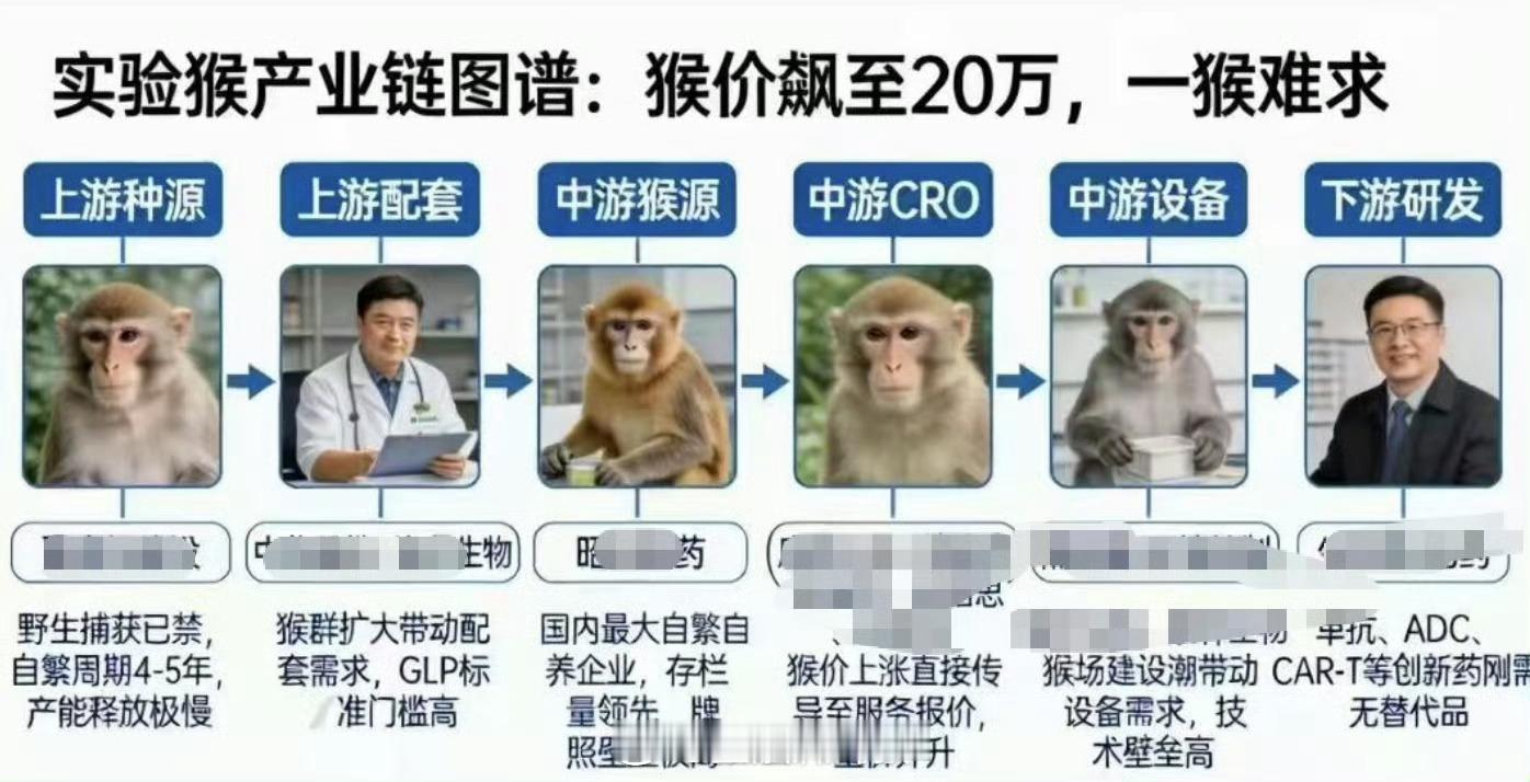 一只猴市价已到20万元