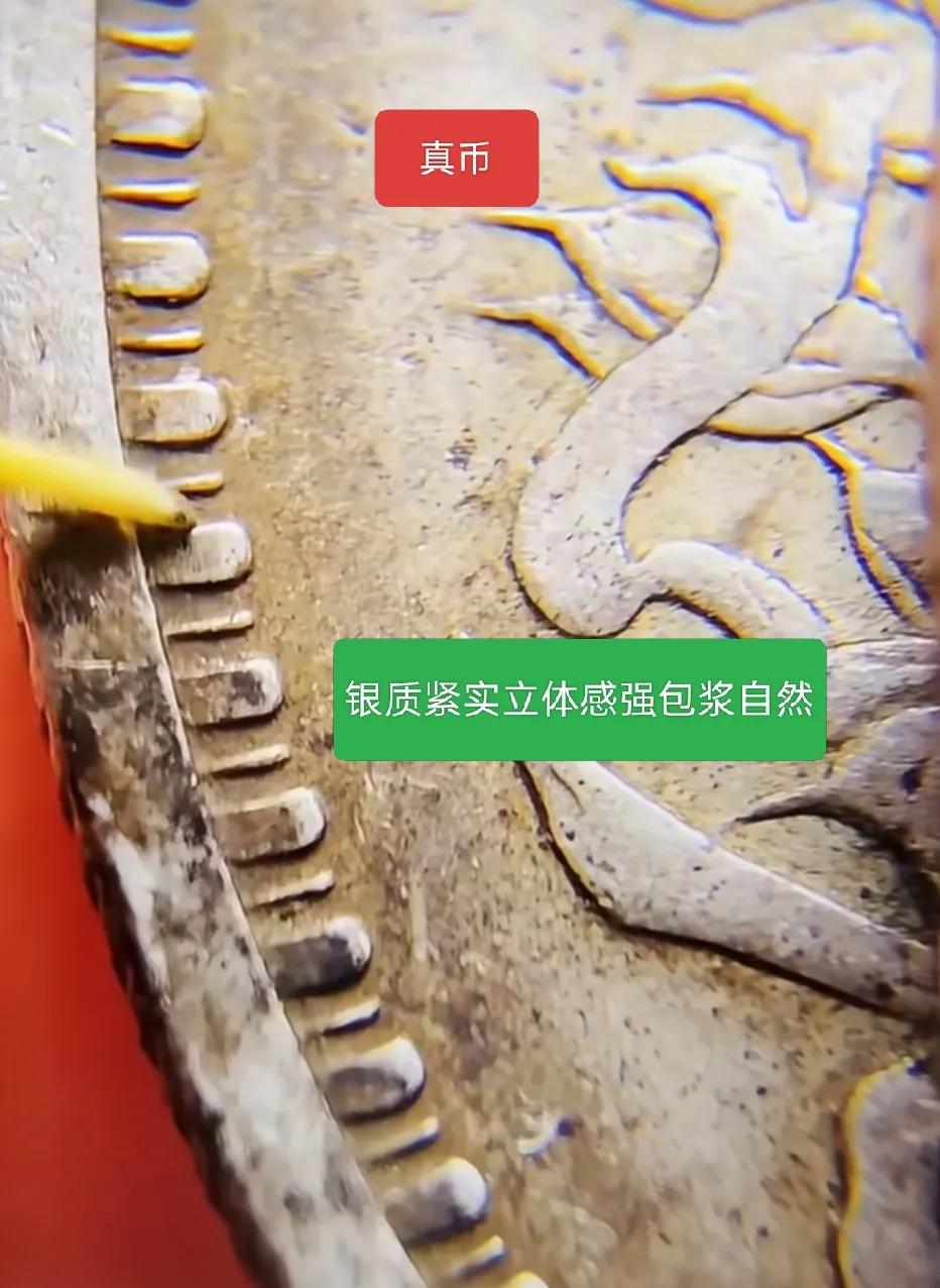银元鉴定知识小技巧，真假对比，古玩。银元老银元鉴别银元辨别真伪银币鉴定银