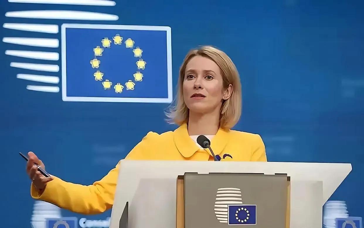 狐狸尾巴终于露出来了！美国的对等关税最终目标还是中国。美欧21日达成了贸易协