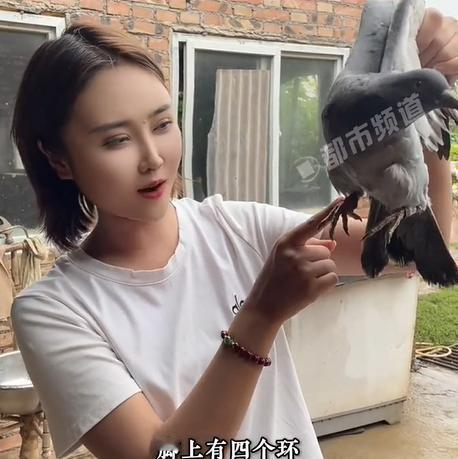 太意外了！河南新乡一名女子正在家中干活，突然，一只灰色的鸽子飞到她们家窗户上，女