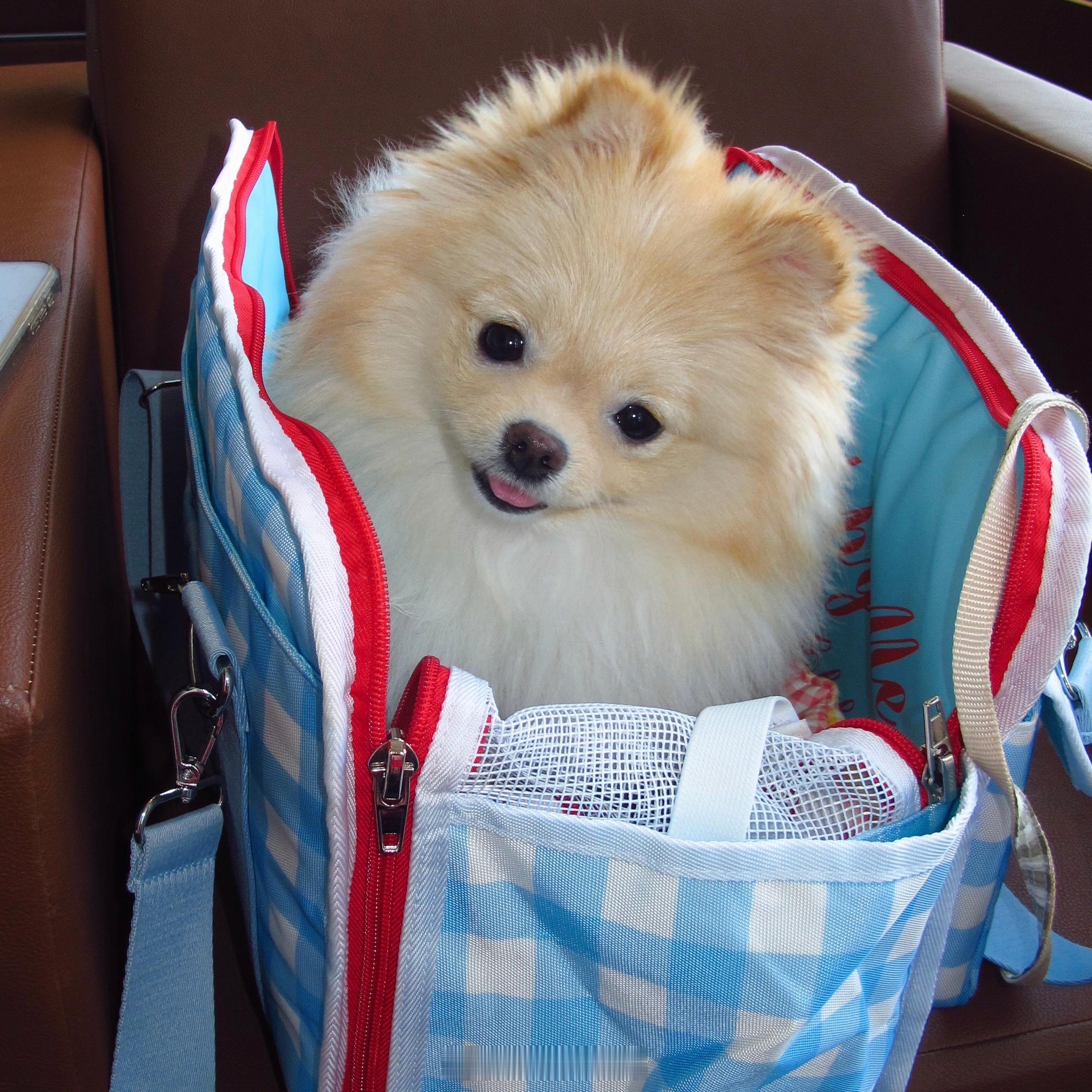 家人们我家孩子可以当童模吗