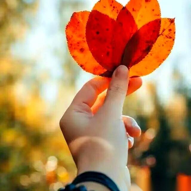 刷到一段话，说有一种男人，他最大的“坏”，不是在外面杀人放火。而是他心里门儿清