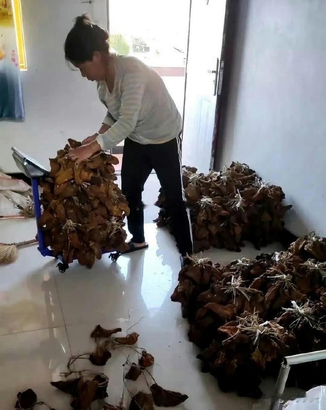 这才是真正的大户人家，真令人羡慕