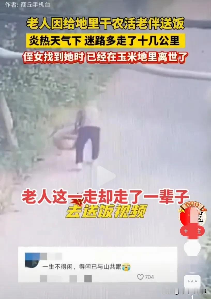 看哭了！两个勤劳的老人，如今却天人两隔，为何命运如此捉弄？八旬老太给老伴送饭，没
