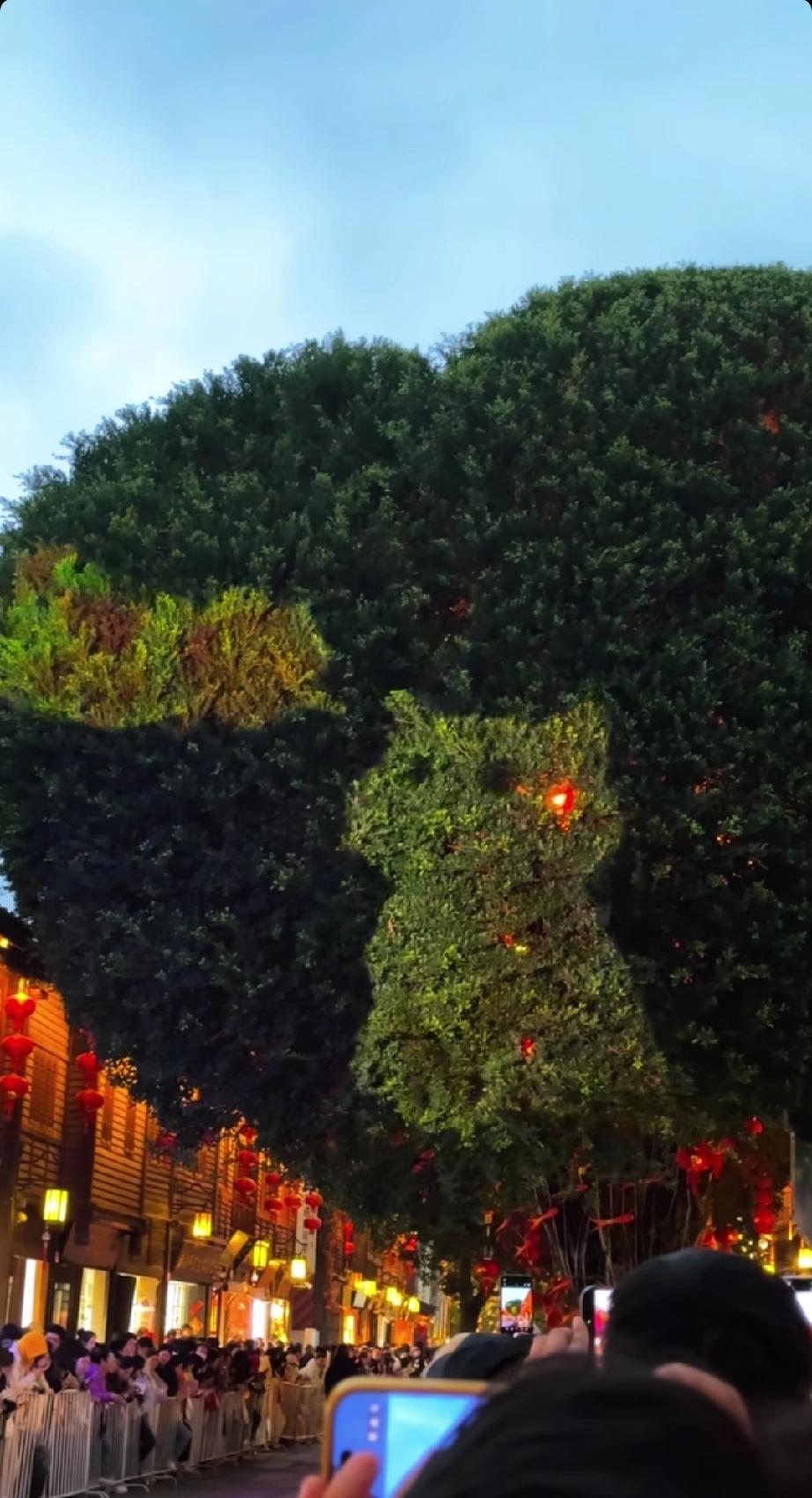 在福州遇见一棵爱心树！在福州游玩时，我竟意外邂逅了一棵爱心树！那棵树的枝干天然