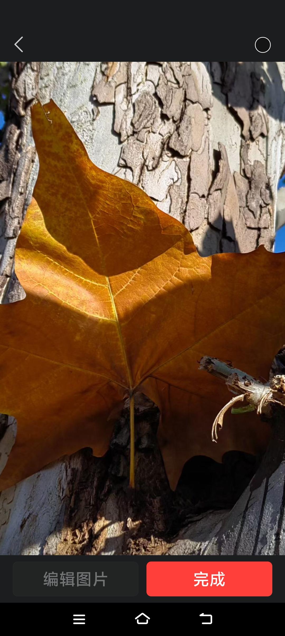 香港大火让人揪心，更让人深思，一旦火灾怎么逃生？往下跑还是往上跑躲在家里？