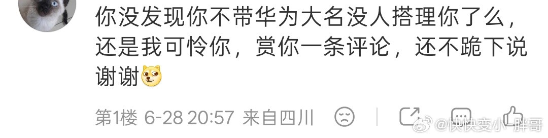 这种手段真的是太高了……你无论聊什么，他们都能往华为身上引然后在评论区取证……