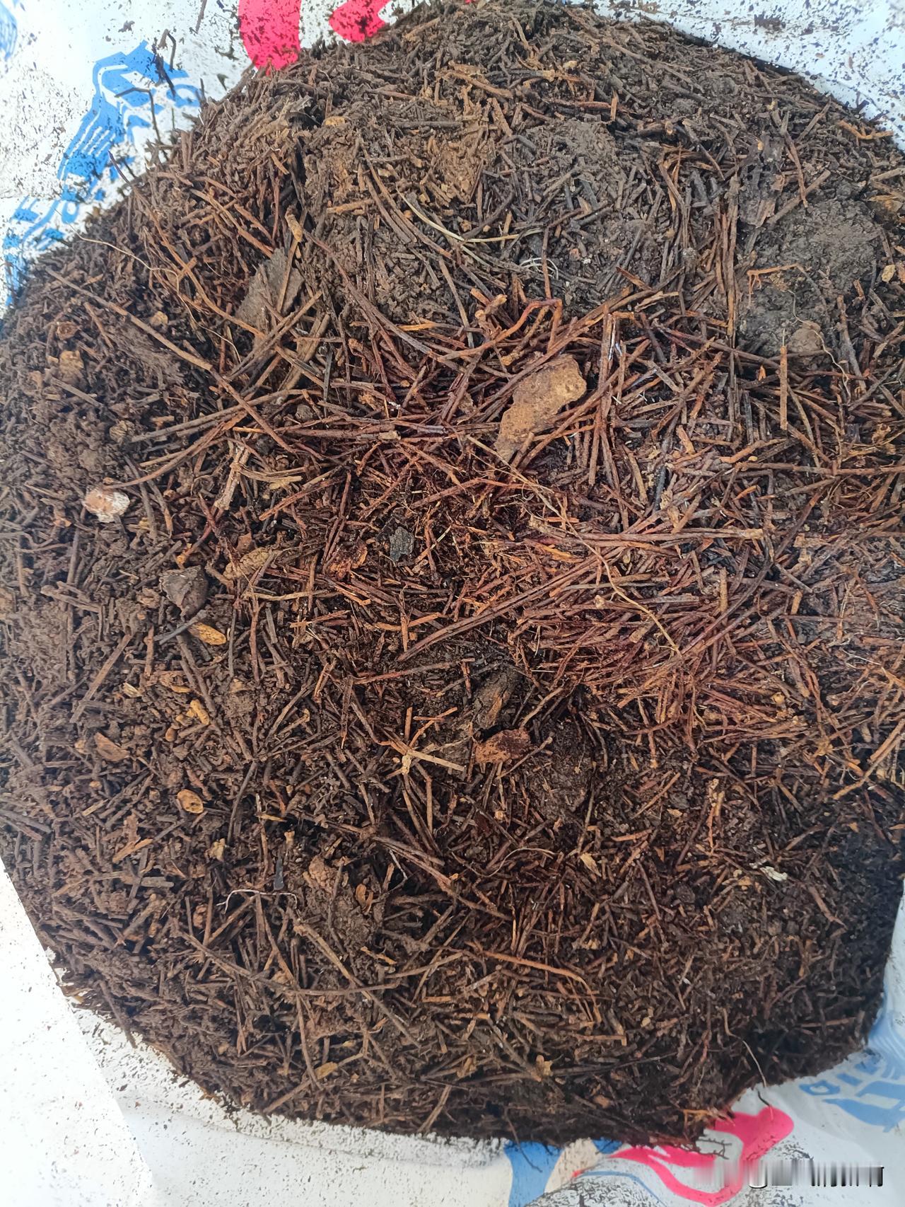 又涨见识了，见过送钱的，见过送烟酒的，见过送保健品的，见过送食品的，还