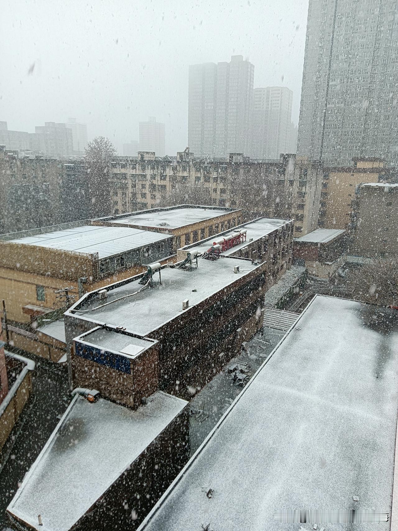 今天是马年春节长假最后一天，快收假了，西安城却不期而遇迎来了一场大雪！先开始是预