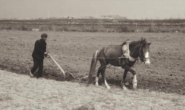 1960年7月，黎溪公社社员李炳舟犁地时，脚部被犁尖划破，导致高烧不退。他的妻子