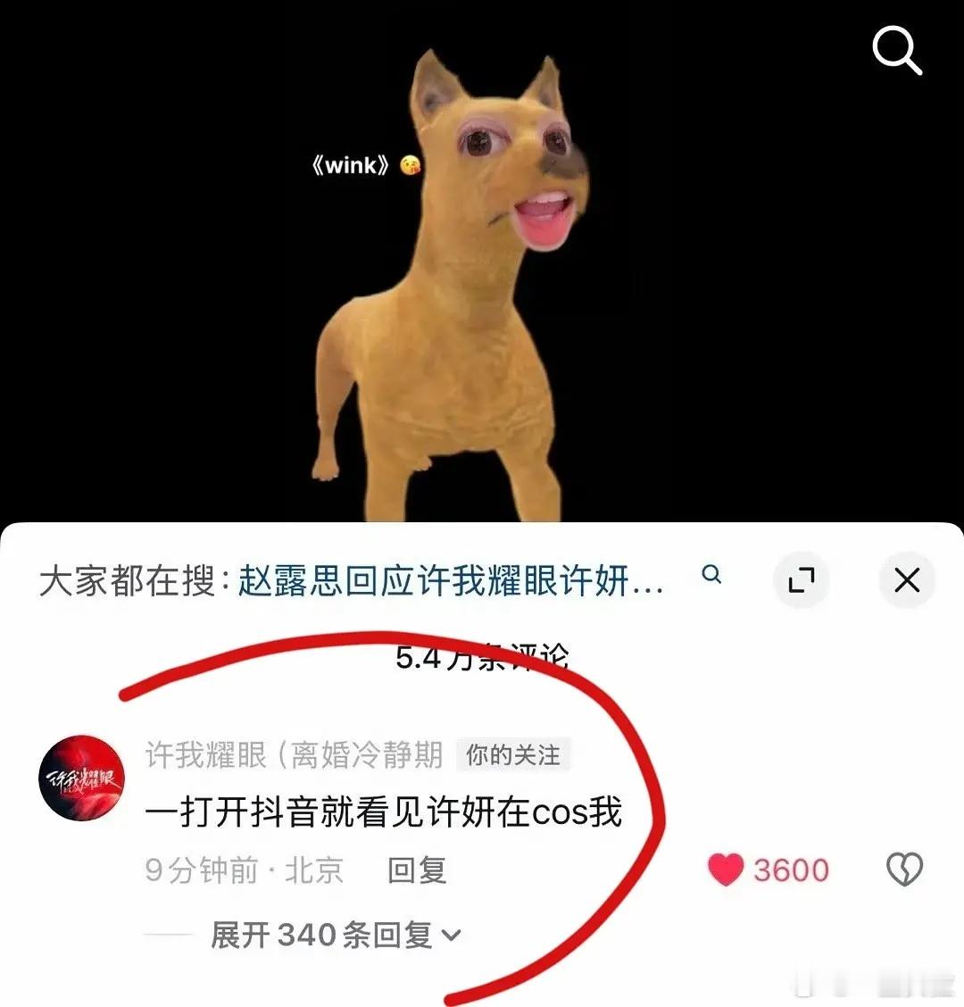总感觉在阴阳怪气lowlow的​​​