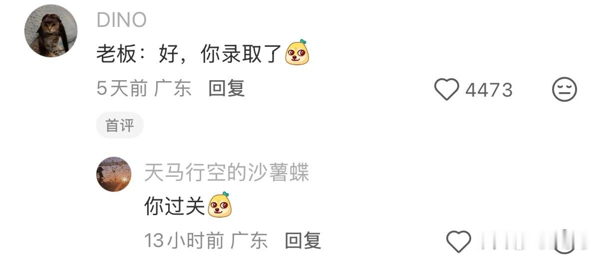 我的装傻能力belike：