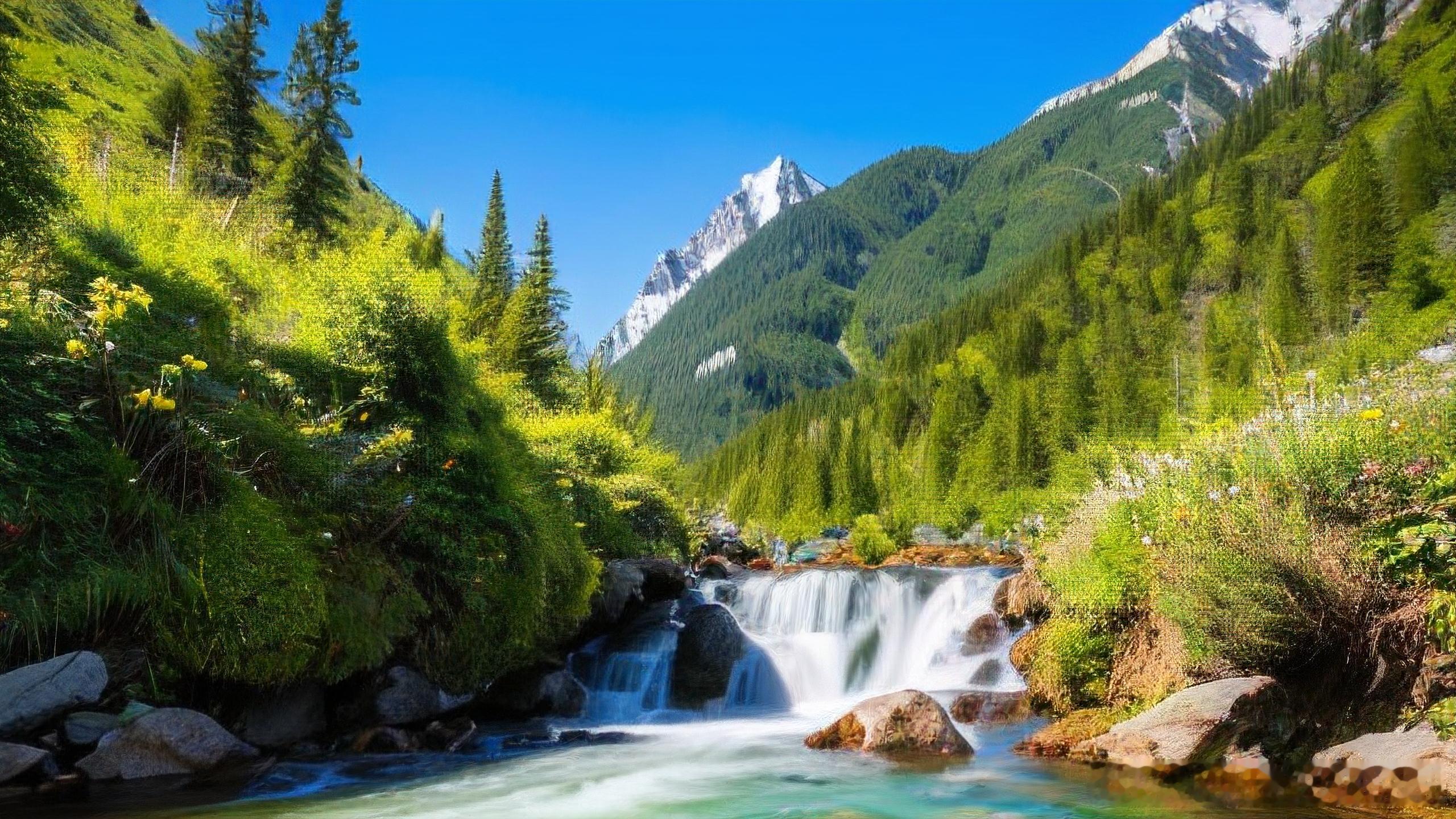 生肖牛的学子们，2026年能否金榜题名？🖋️在2026年这个特殊的一年，生肖牛