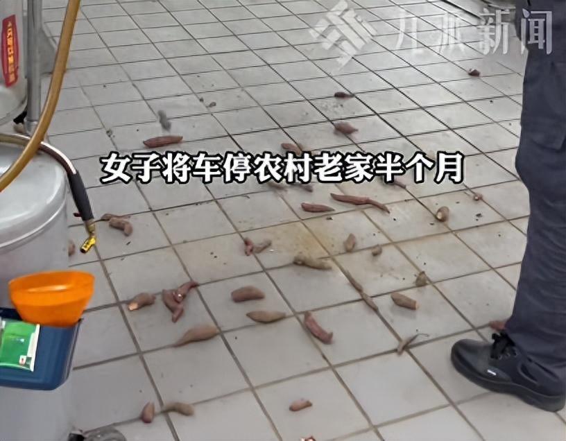 “离了个大谱！”近日，广西贵港，一女子因出差，将车停在老家半个月，旁边就是晾晒的