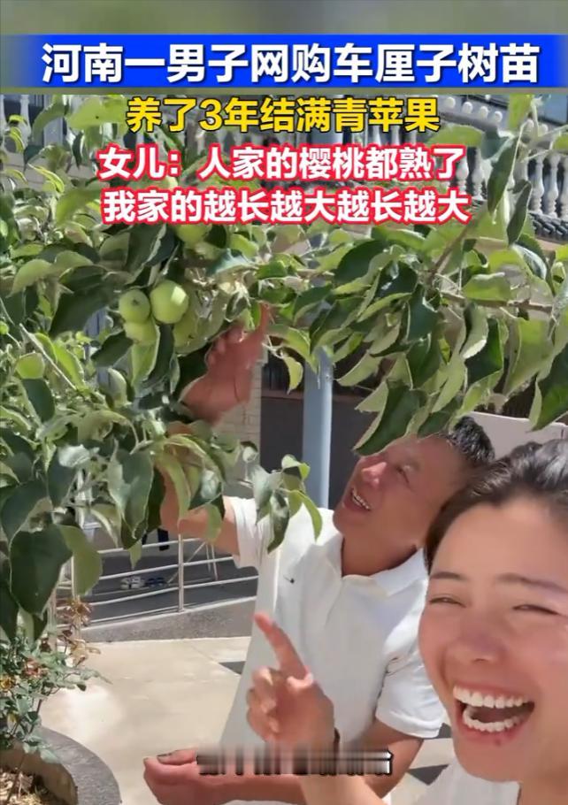 太真实了！认真付出的三年心血，本以为收获昂贵车厘子，最后却收获满满惊喜，全程高能