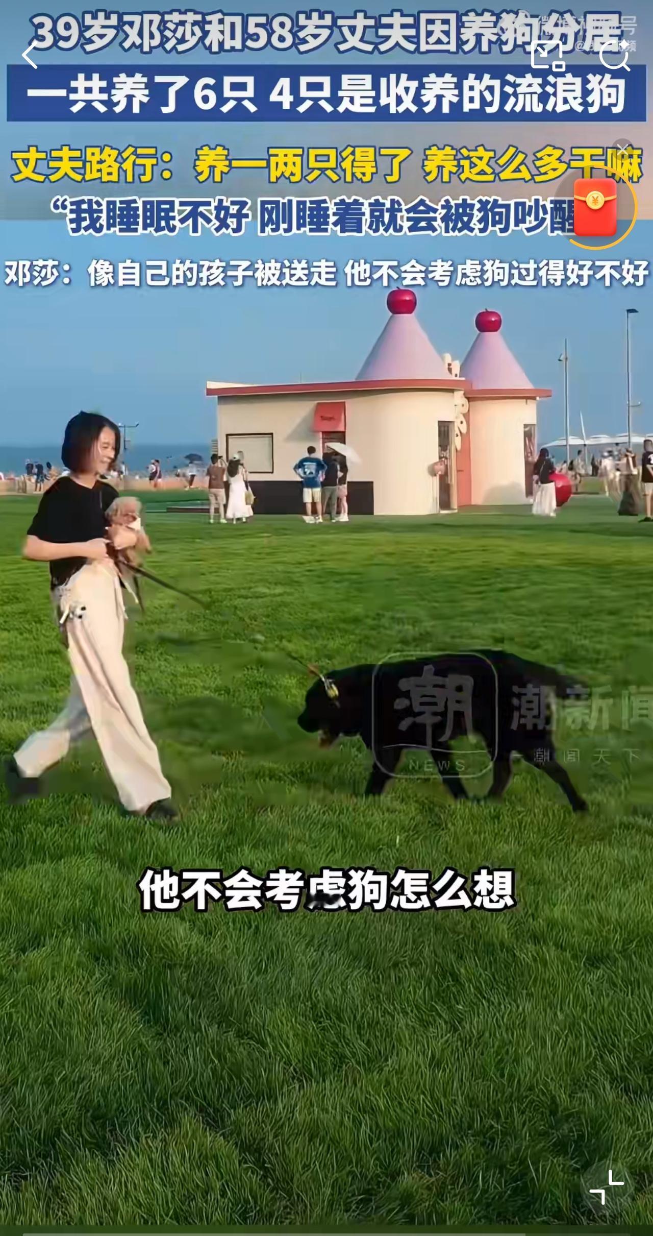 这个邓莎真的好奇怪啊一边说自己带娃很辛苦一边又要自己折腾去养那么多狗。她