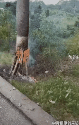 人生路上，总有人在为善良让路。一男子开车路过国道，发现一老人在路边的树下堆着柴火