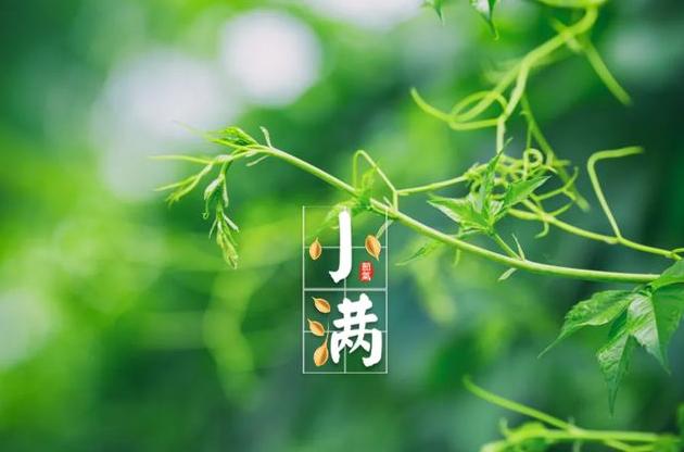 “今年三伏热不热，就看小满这一天”，今天恰逢小满，今年夏天会热到难熬吗？答案来了