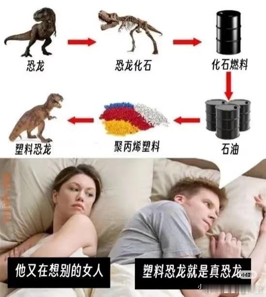 逻辑太清晰了感觉全对了塑料恐龙就是真恐龙！今日最佳​​​