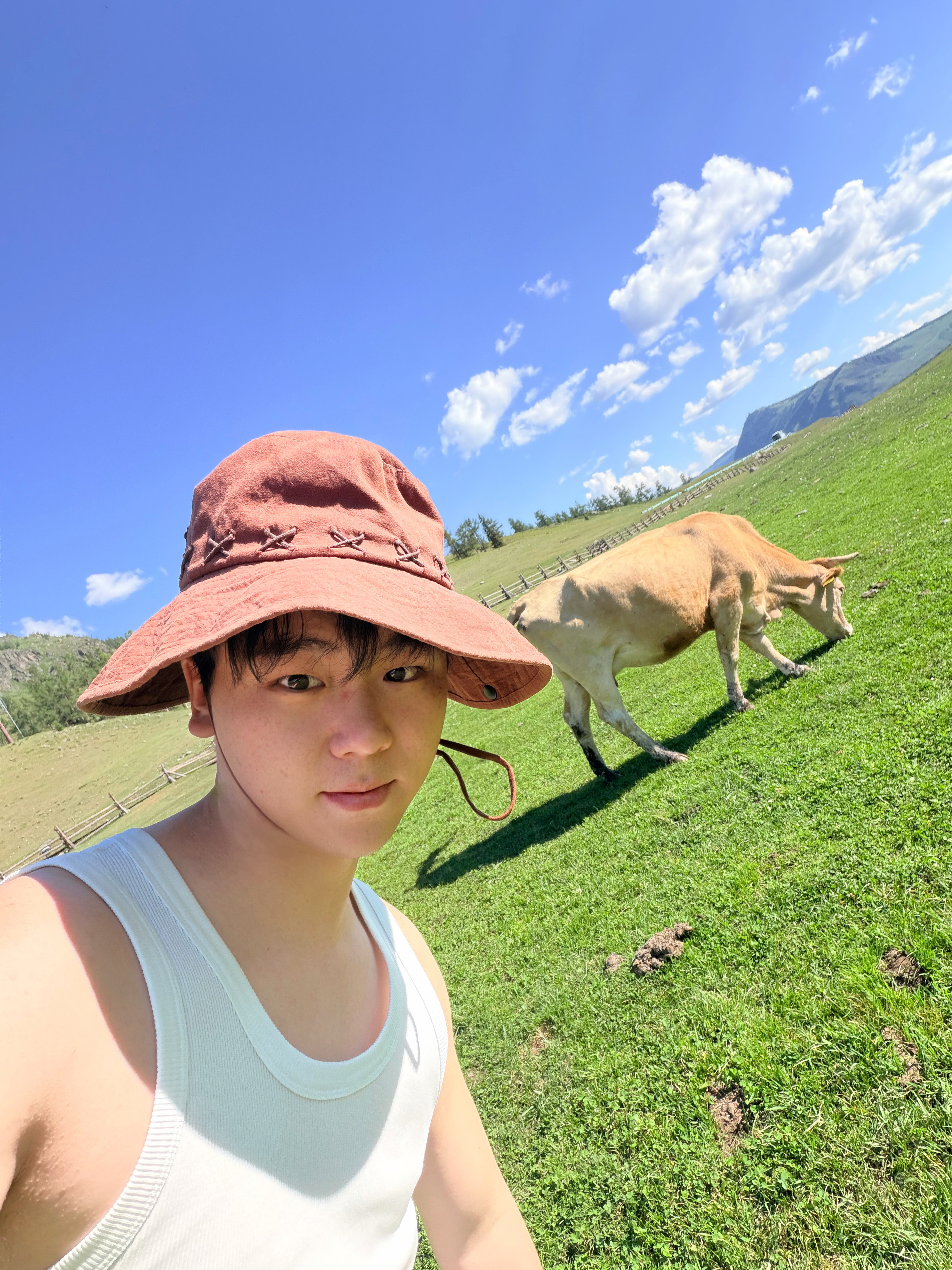 新疆真美呐，你订阅的旅行青蛙又来信啦～阿勒泰
