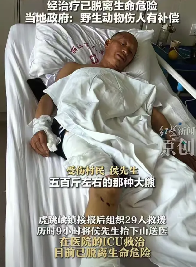“这就是命啊！”近日，香格里拉，一男子上山采药，结果撞到了一头500斤的黑熊，男