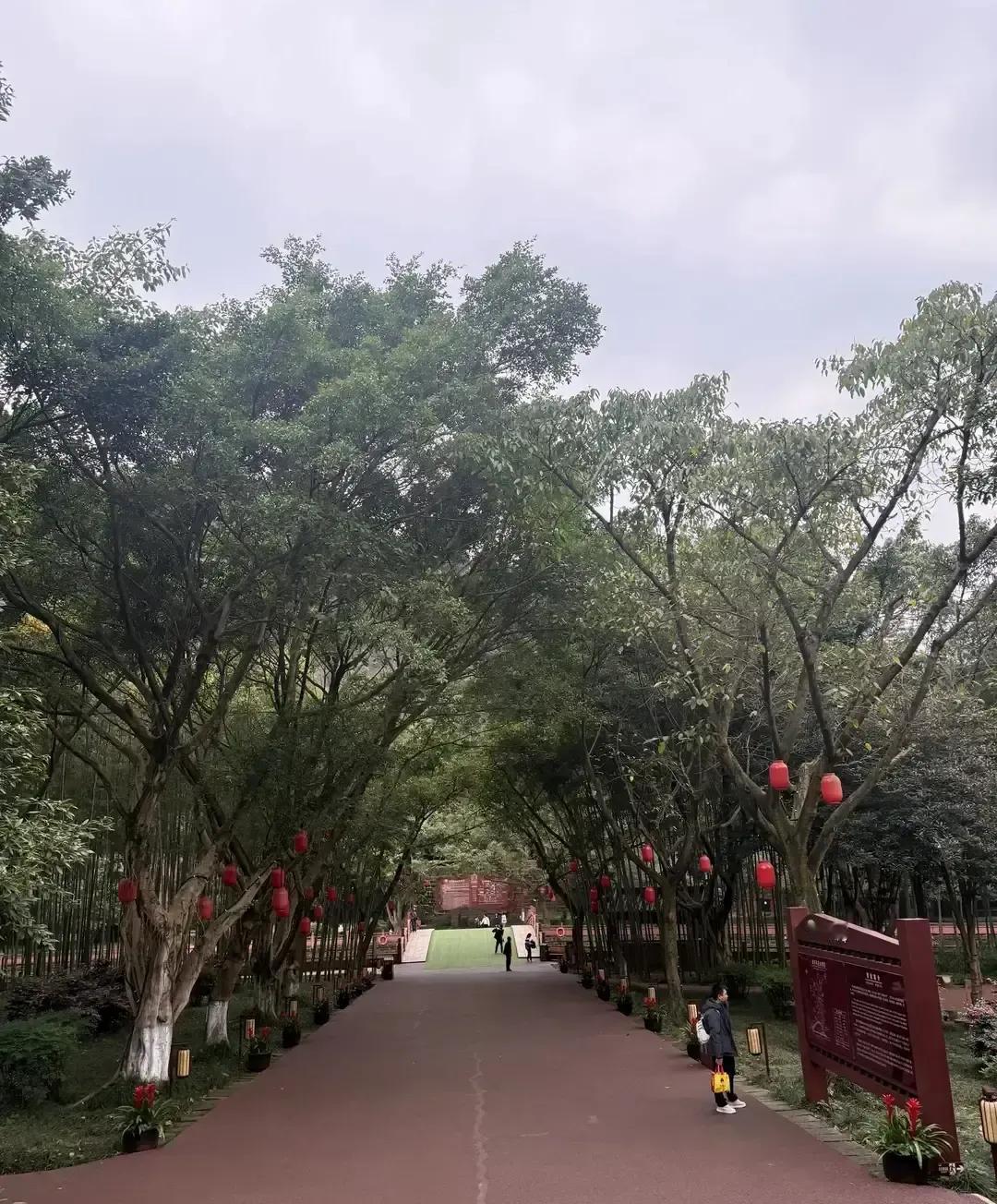 哥哥因为嫂子住院花了5万，跟亲儿子吵到群里。侄子想跟妹妹各掏一半，老爹当场炸