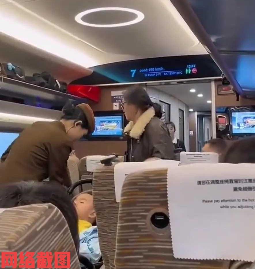 有趟高铁到站后。列车上有女子没有立马下车，反而推自己的婴儿车堵住行走通道，认
