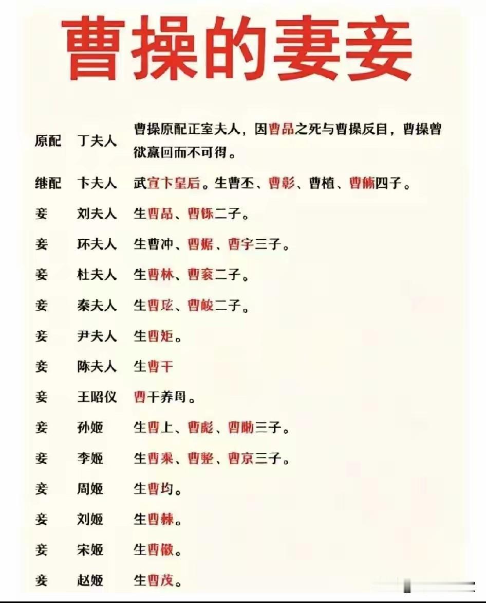 曹操的妻妾和妻妾所生的子嗣，正是应了那句：穷则独善其身，富则妻妾成群[作揖][作
