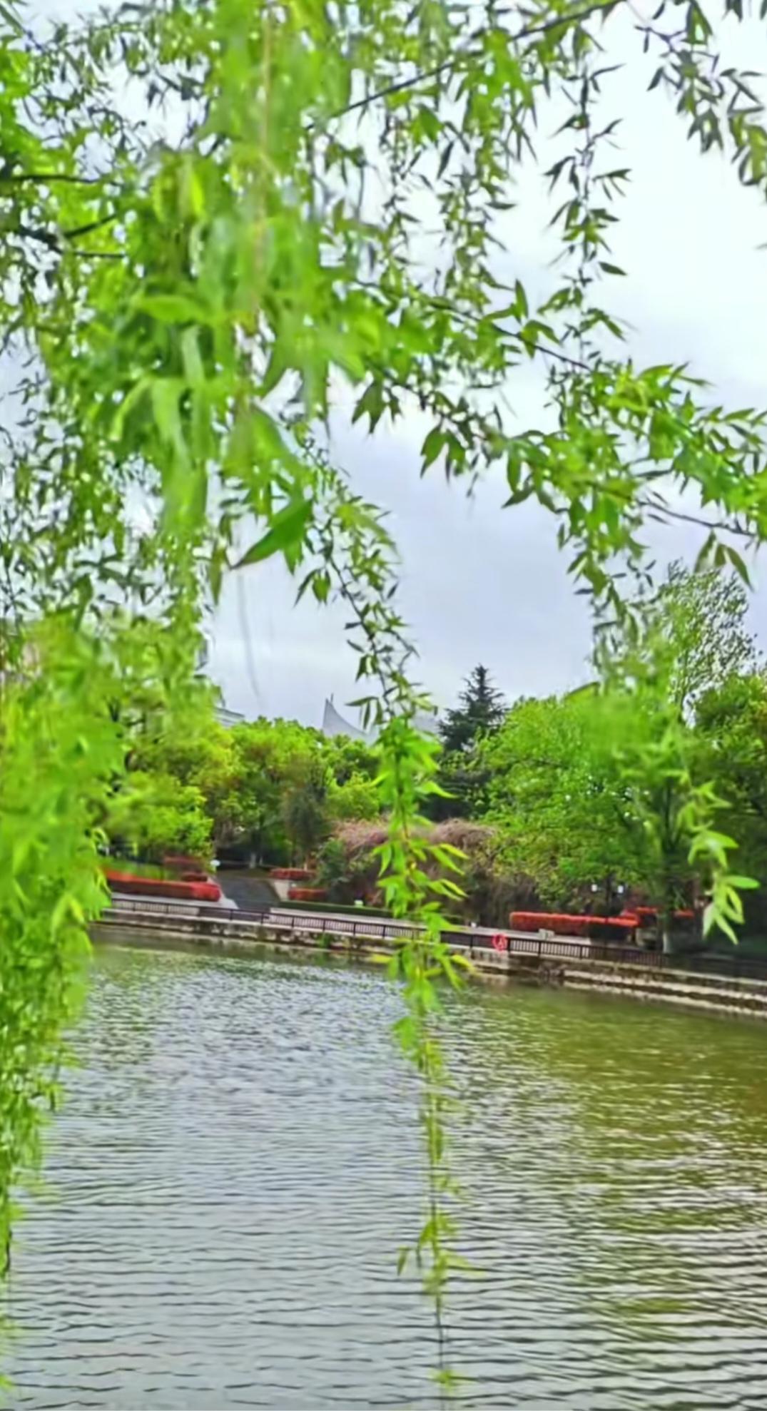 邻居强占宅基地，这事儿谁碰上都闹心！咱得依法维权。首先可以先礼后兵，带上宅基地