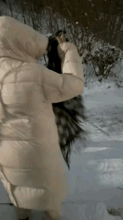 小姐姐应该是南方的，你看，摔倒了。