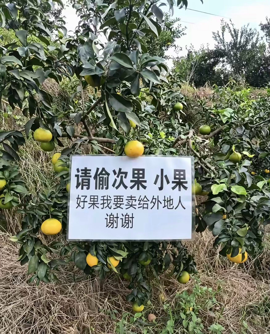 真没啥毛病​​​
