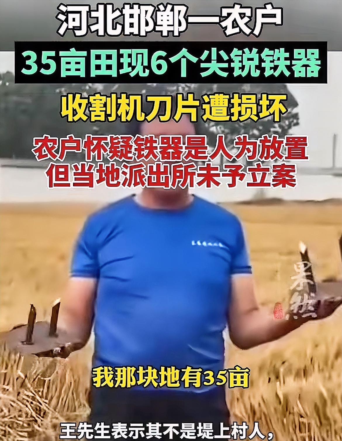 这要缺几辈子德，才能干这事！河北邯郸，一农户承包了35亩地种植小麦，今年在收割