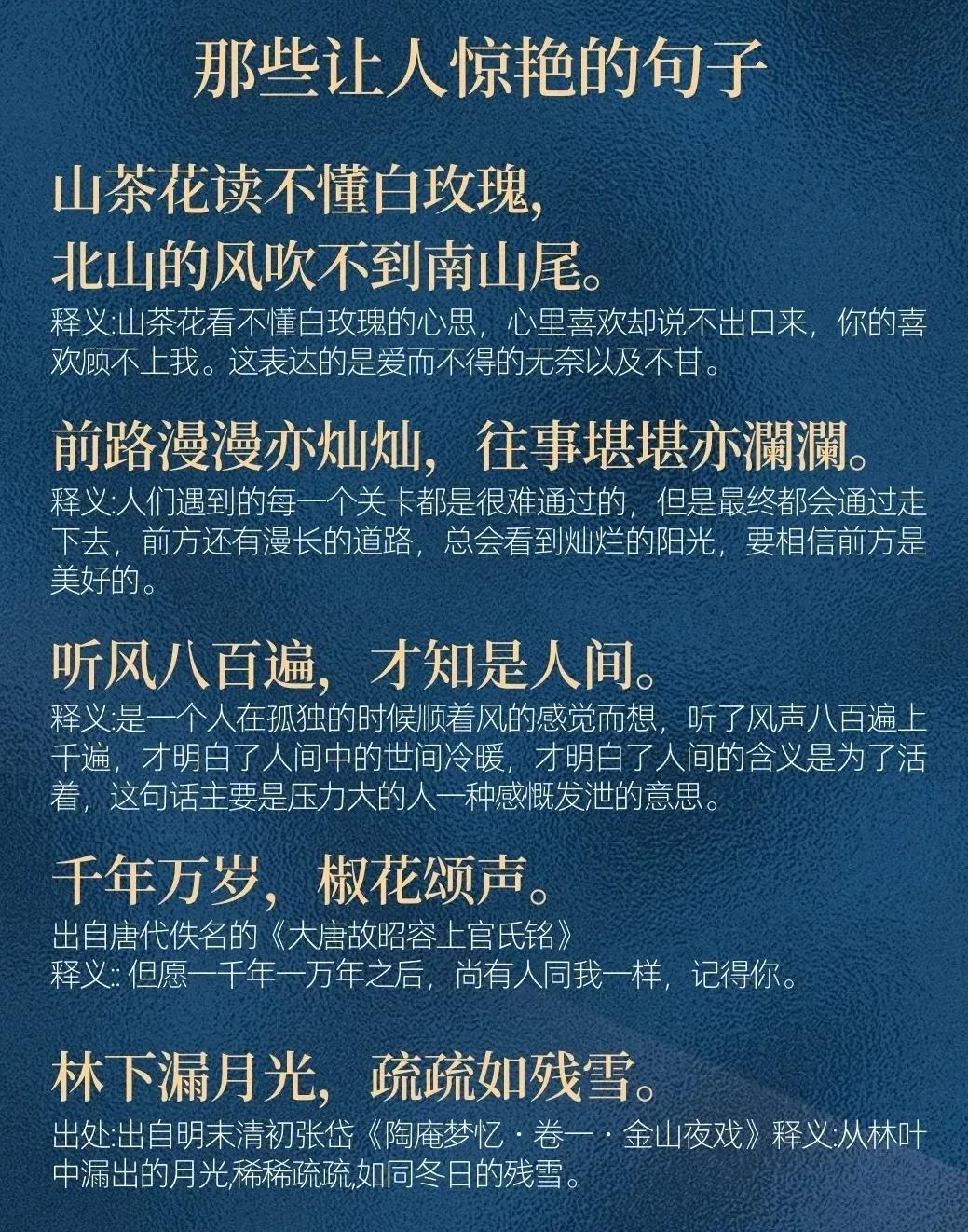 五句意境深远、情感饱满的文字，有的写遗憾，有的写期许，适合摘抄积累。山茶花
