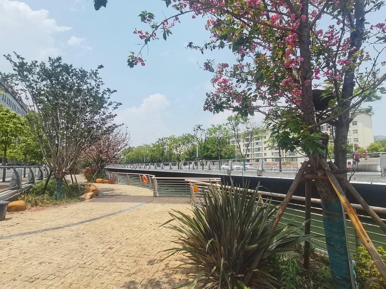 昆明作为一座宜居城市，拥有高居全国第二的城市公园数量。可别以为这大量的城市公园