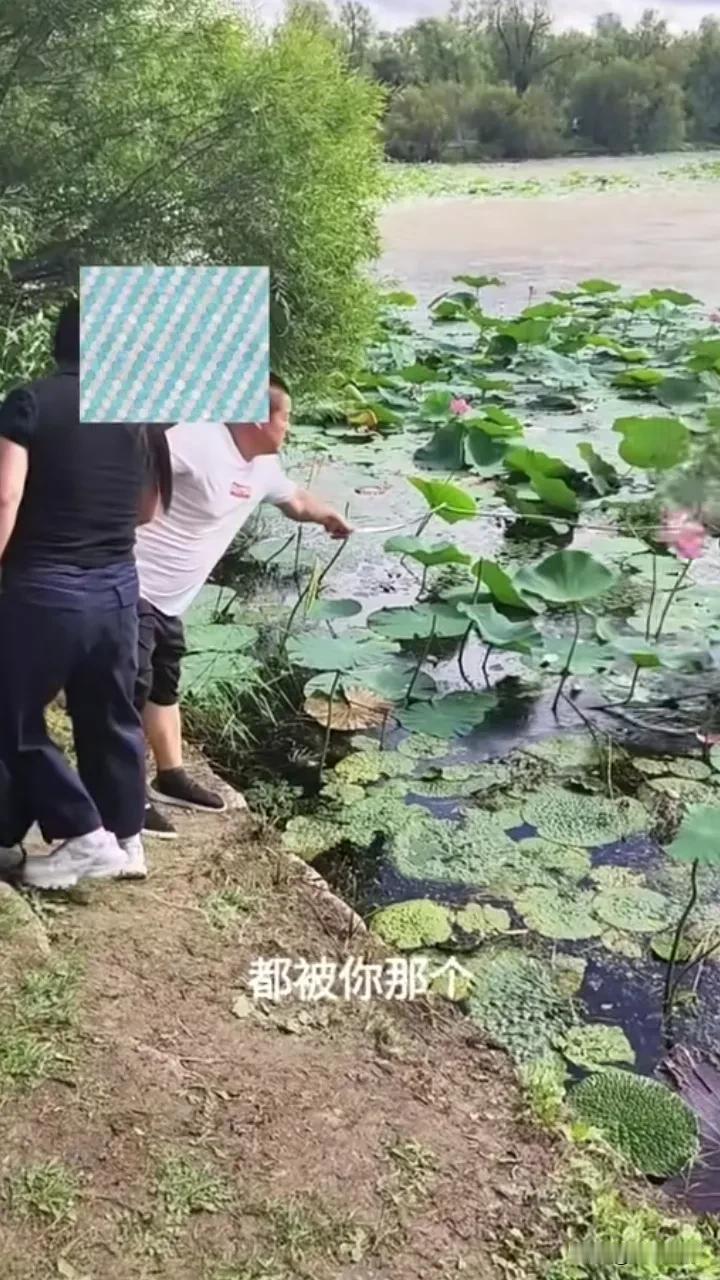 8月11日下午，哈尔滨太阳岛景区荷花池，一男子带着母亲，媳妇，还推着一辆婴儿车，