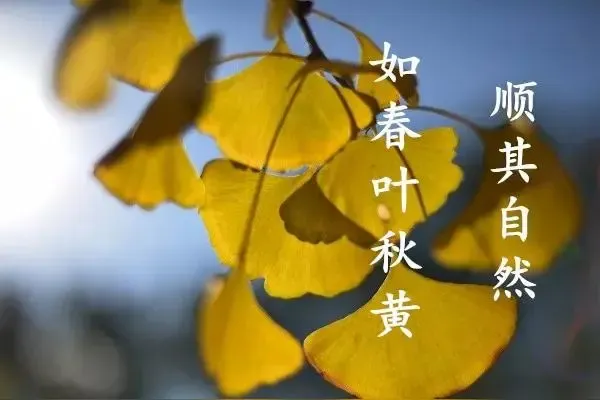 高考倒计时：“妈妈，我现在觉得平时考好不是一件好事，越是在考试中暴露问题，反而利