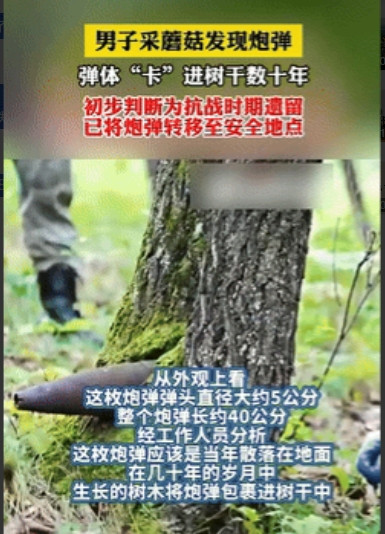 真吓人！”黑龙江黑河，一男子到山里踩蘑菇，不料走到偏僻处，看到树下卡着什么东西，