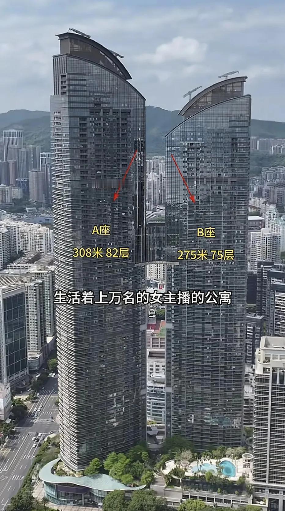 这间豪华公寓叫东海国际公寓，分A、B两座组成的。它毗邻深圳CBD与深南大道，可以