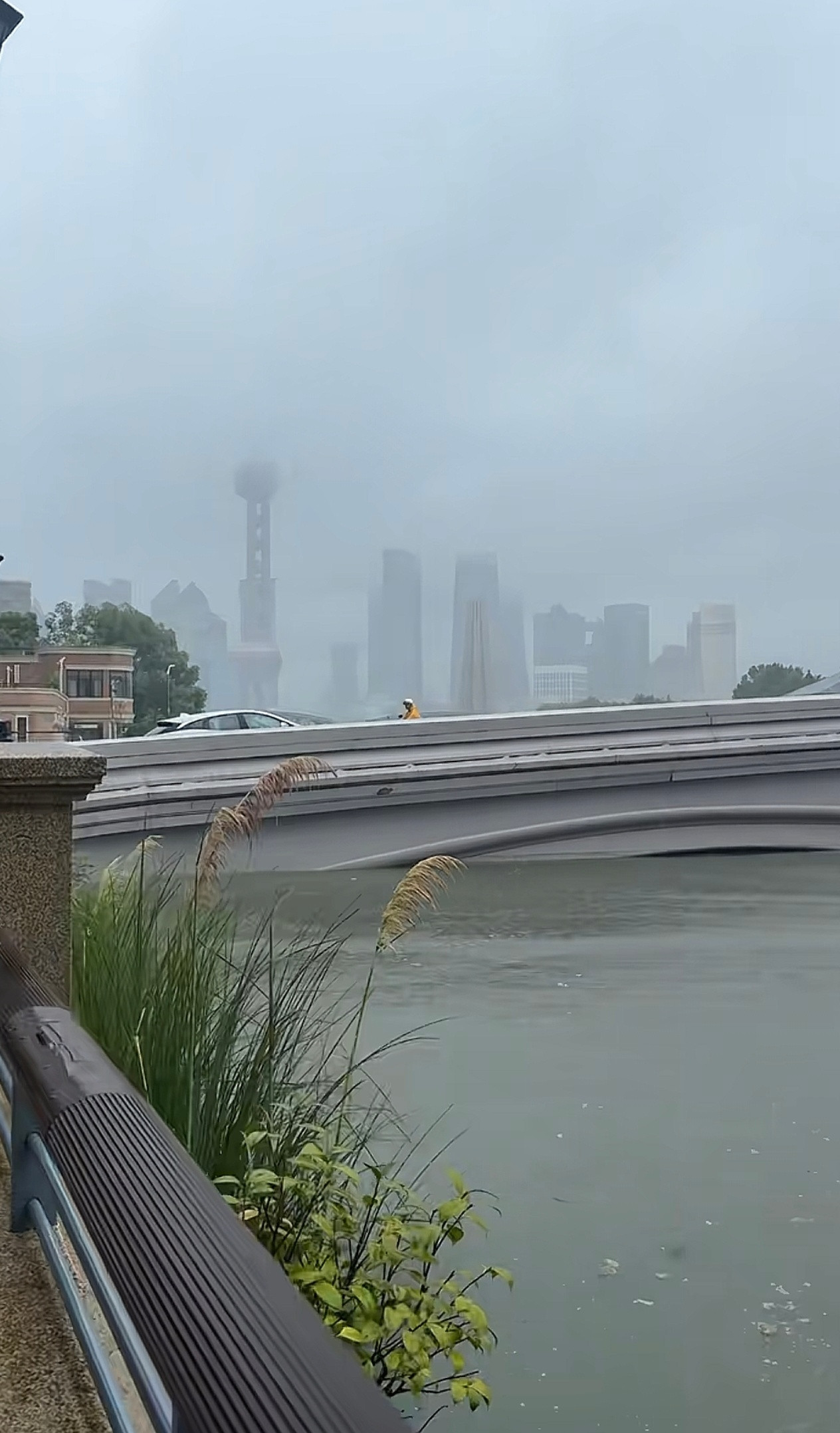 黄浦江都满出来了？[惊恐]台风加海啸，上海和浙江太难了[跪了]​​​