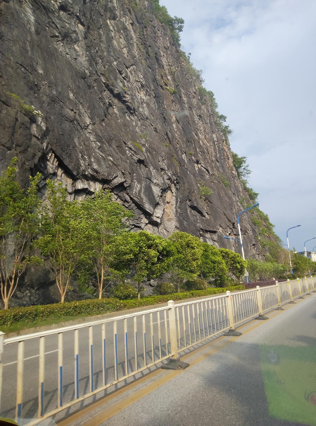 玄学大师说：“马，不宜养花草。羊，不能吃牛肉。猴，不能挂风铃民间玄学