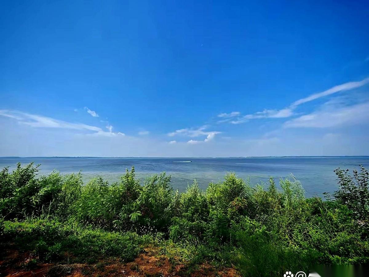 我算是看明白了，职场里，最不能当的就是那种“好用的牲口”。听我老公说他们单位一