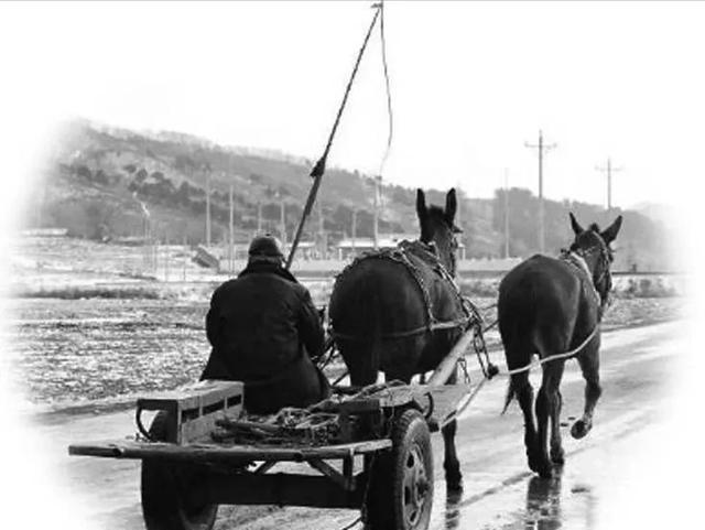 1968年，一个刑满释放的土匪齐达榜，在赶车的路上，认出一70多岁衰弱的老农民，