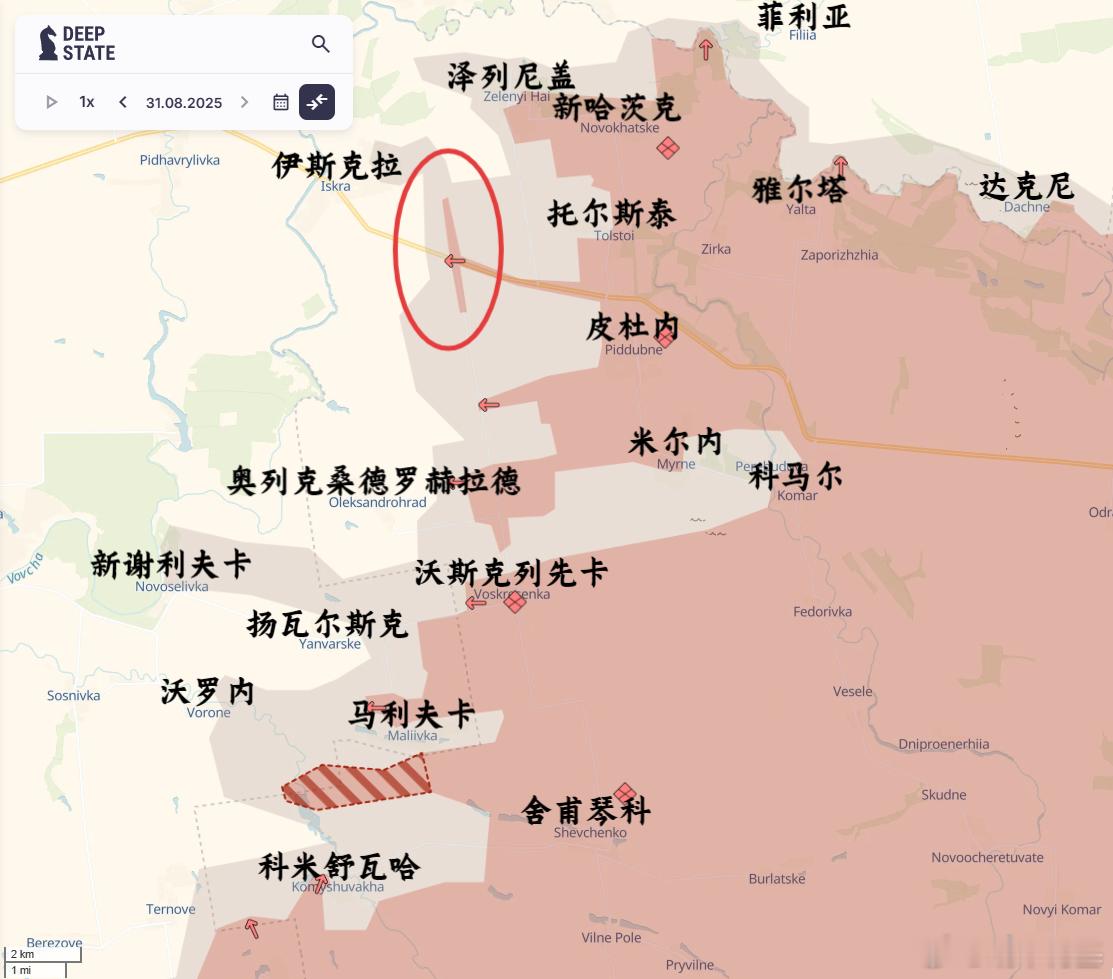 非要画的犬牙交错也就算了，这个双髻鲨的T型头我没理解图源：✙DeepState✙