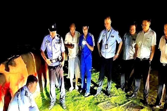 “活久见！”6月10日夜间，重庆男子在江边散步时，发现不远处有一团黑漆漆的东西在