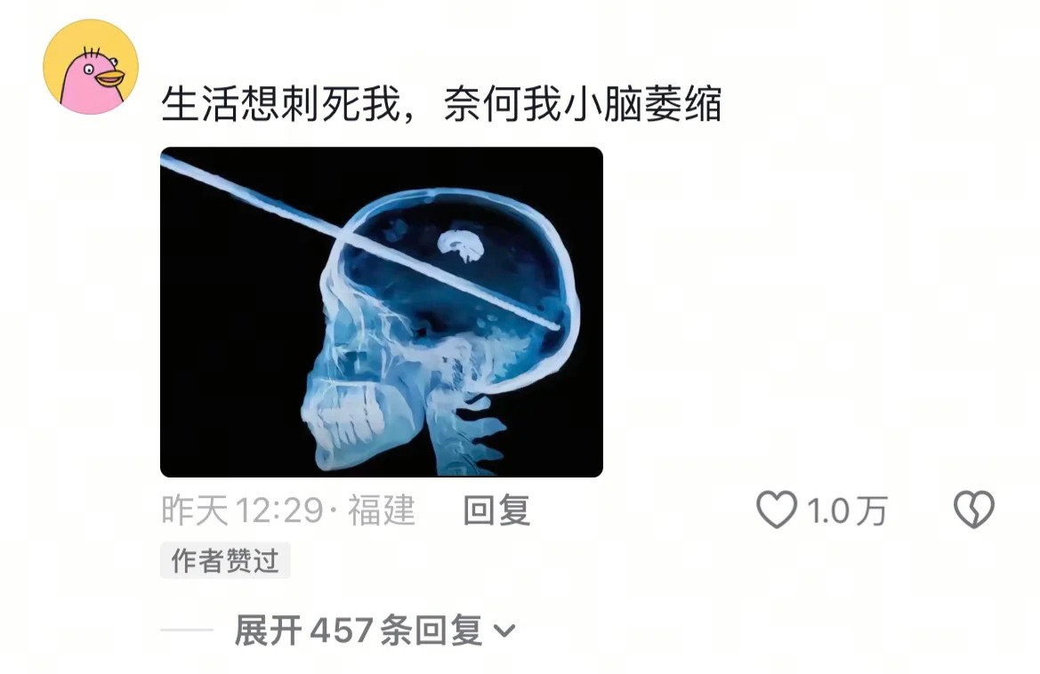 躺平的年轻人有任何事别冲我来！​​​